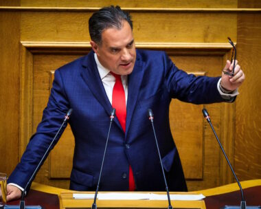 Ο Άδωνις Γεωργιάδης
