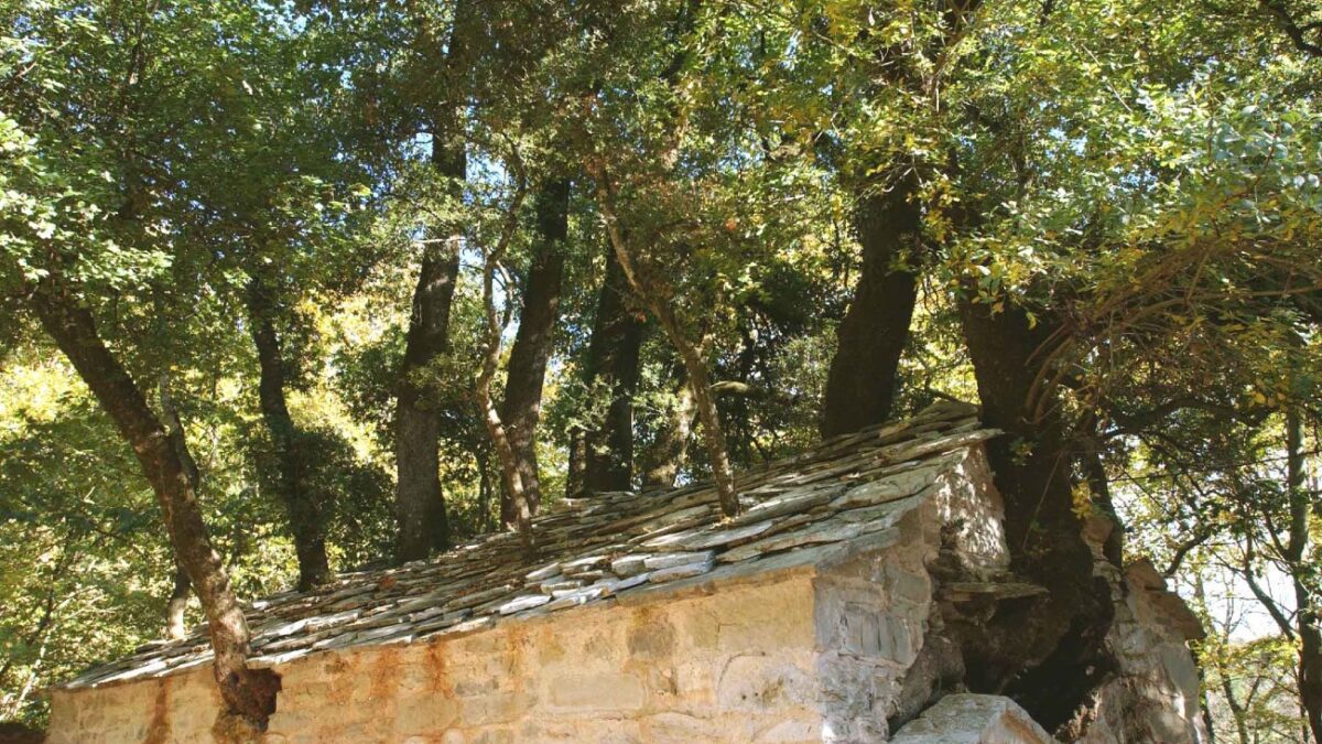 Ο ιερός ναός της Αγίας Θεοδώρας στο χωριό Βάστας του νομού Αρκαδίας με τα 17 δέντρα στην σκέπη του