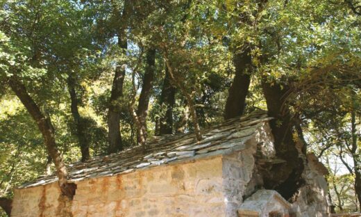 Ο ιερός ναός της Αγίας Θεοδώρας στο χωριό Βάστας του νομού Αρκαδίας με τα 17 δέντρα στην σκέπη του