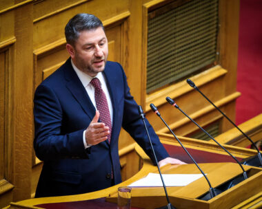 Ο Νίκος Ανδρουλάκης στη Βουλή