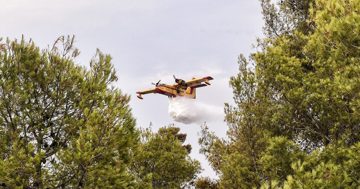 Fire in Anhydrous Messinia: “Helicopter”