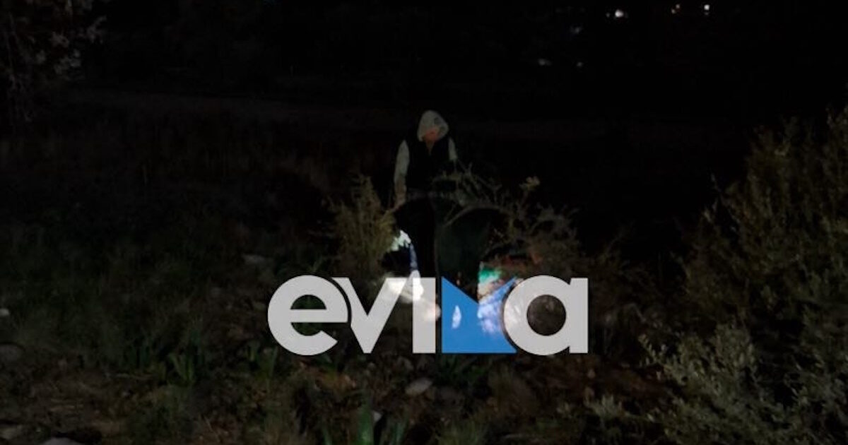Euboea: The 57 -year -old beekeeper was heavily injured – he had an accident with his machine