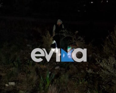 Το σημείο που εντοπίστηκε ο μελισσοκόμος