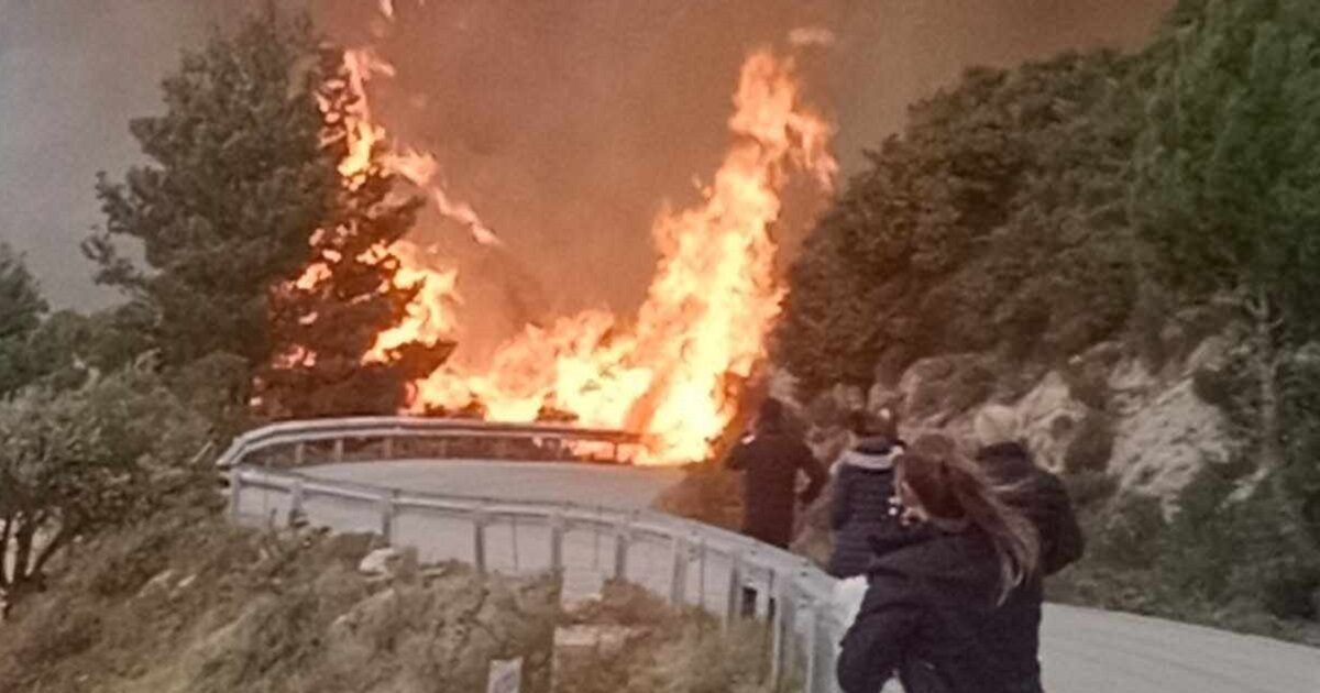 Lefkada: 60 -year -old burning dry grass caused the great fire in “Kathisma”