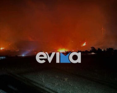 Φωτιά στην Εύβοια