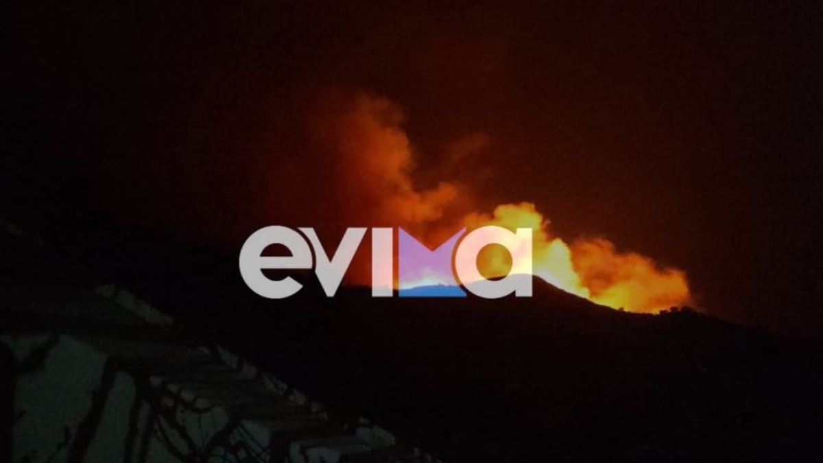 Φωτιά στην Κάρυστο