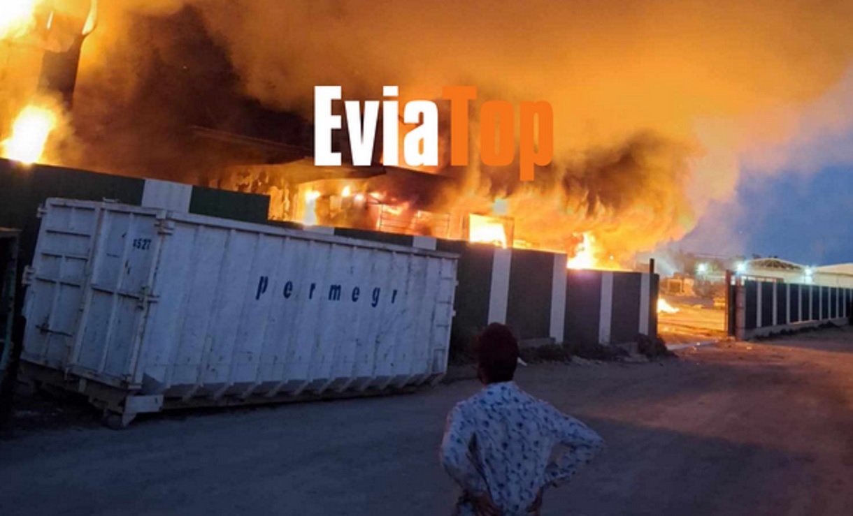 Φωτιά σε εργοστάσιο στη Ριτσώνα 