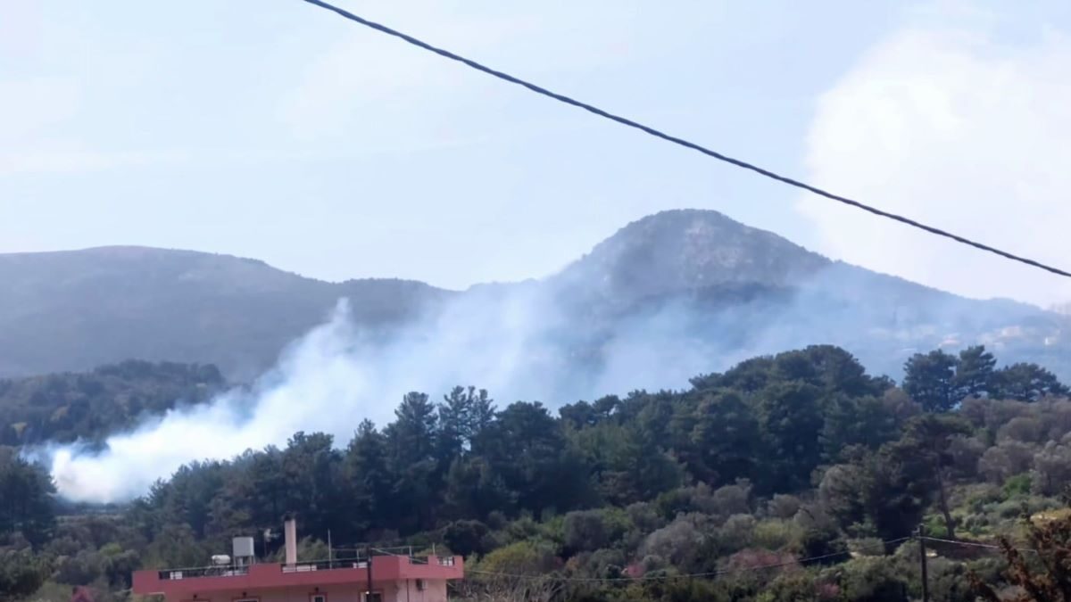Φωτιά σε δασική έκταση στη Λέκκα της Σάμου