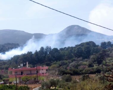 Φωτιά σε δασική έκταση στη Λέκκα της Σάμου