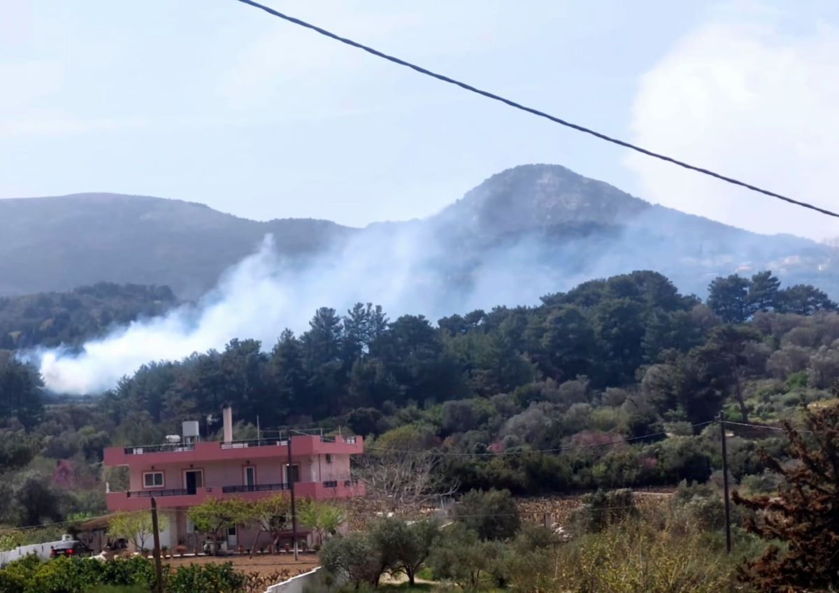 Φωτιά σε δασική έκταση στη Λέκκα της Σάμου