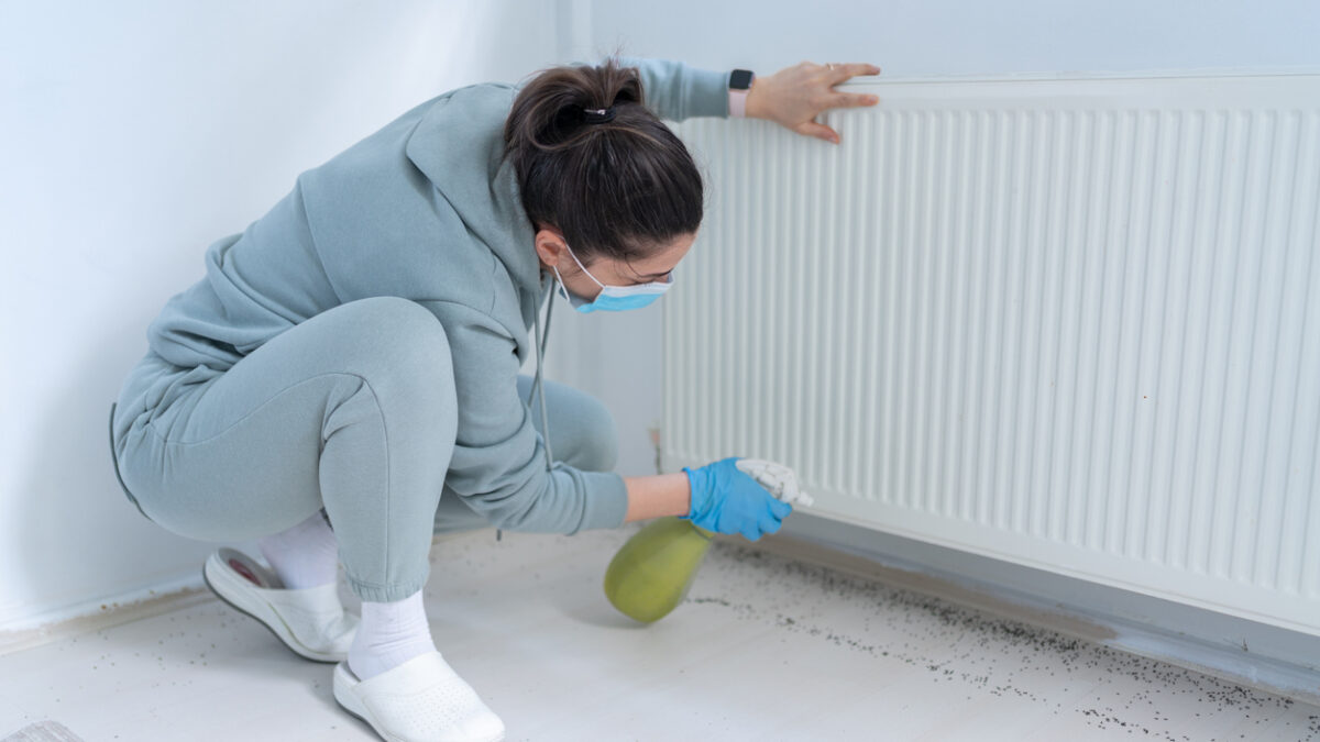 Woman Spraying Insecticide With Sprayer At Home