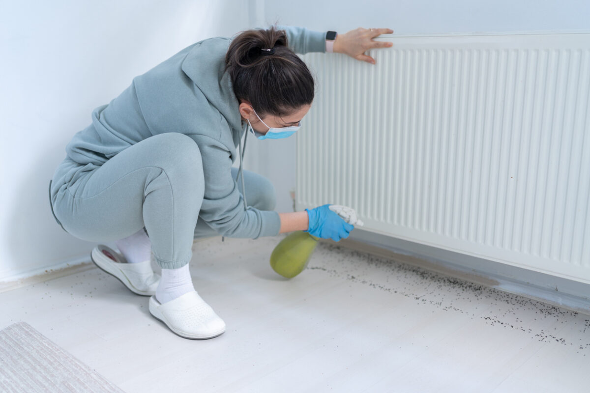 Woman Spraying Insecticide With Sprayer At Home