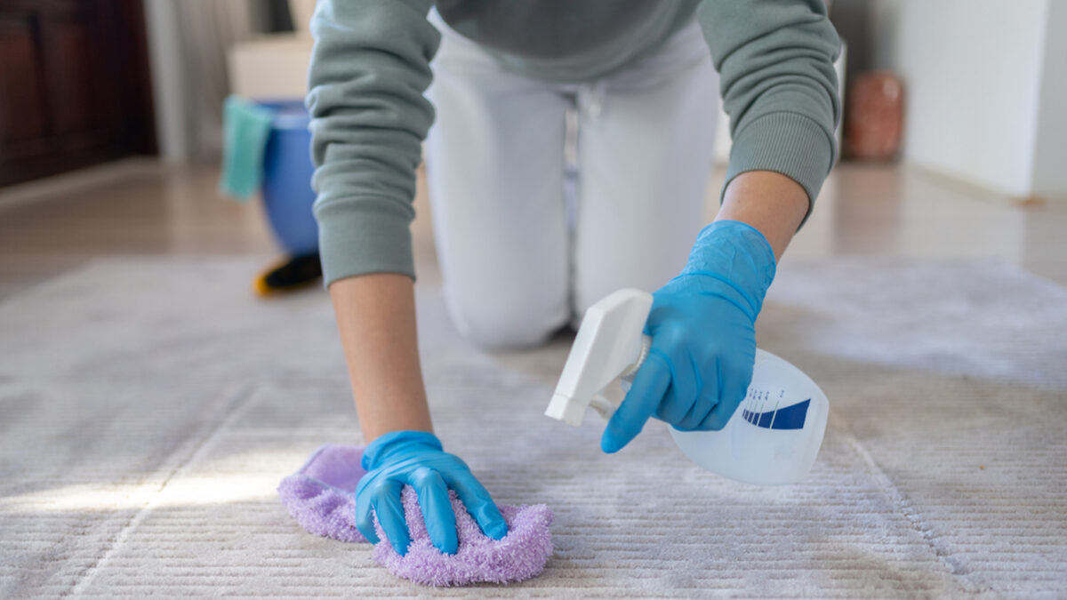 Woman Cleaning Carpet With Brush