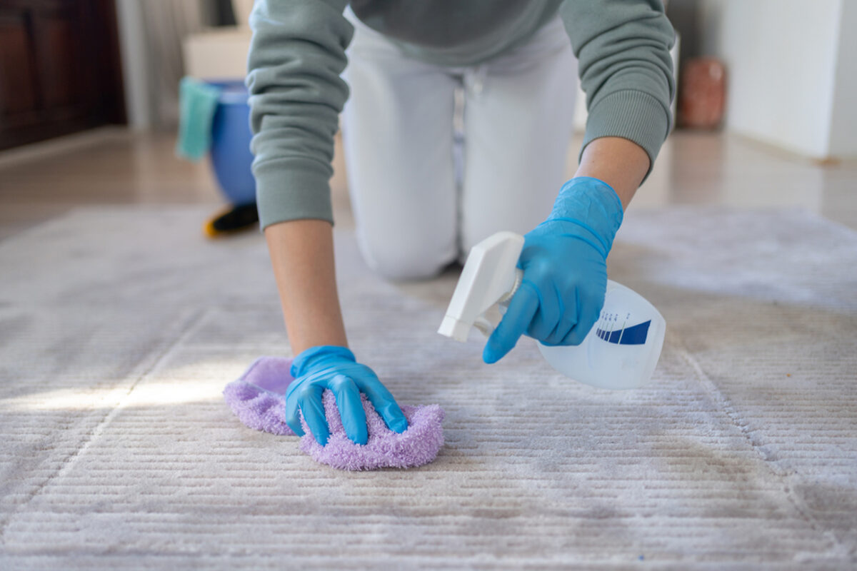 Woman Cleaning Carpet With Brush