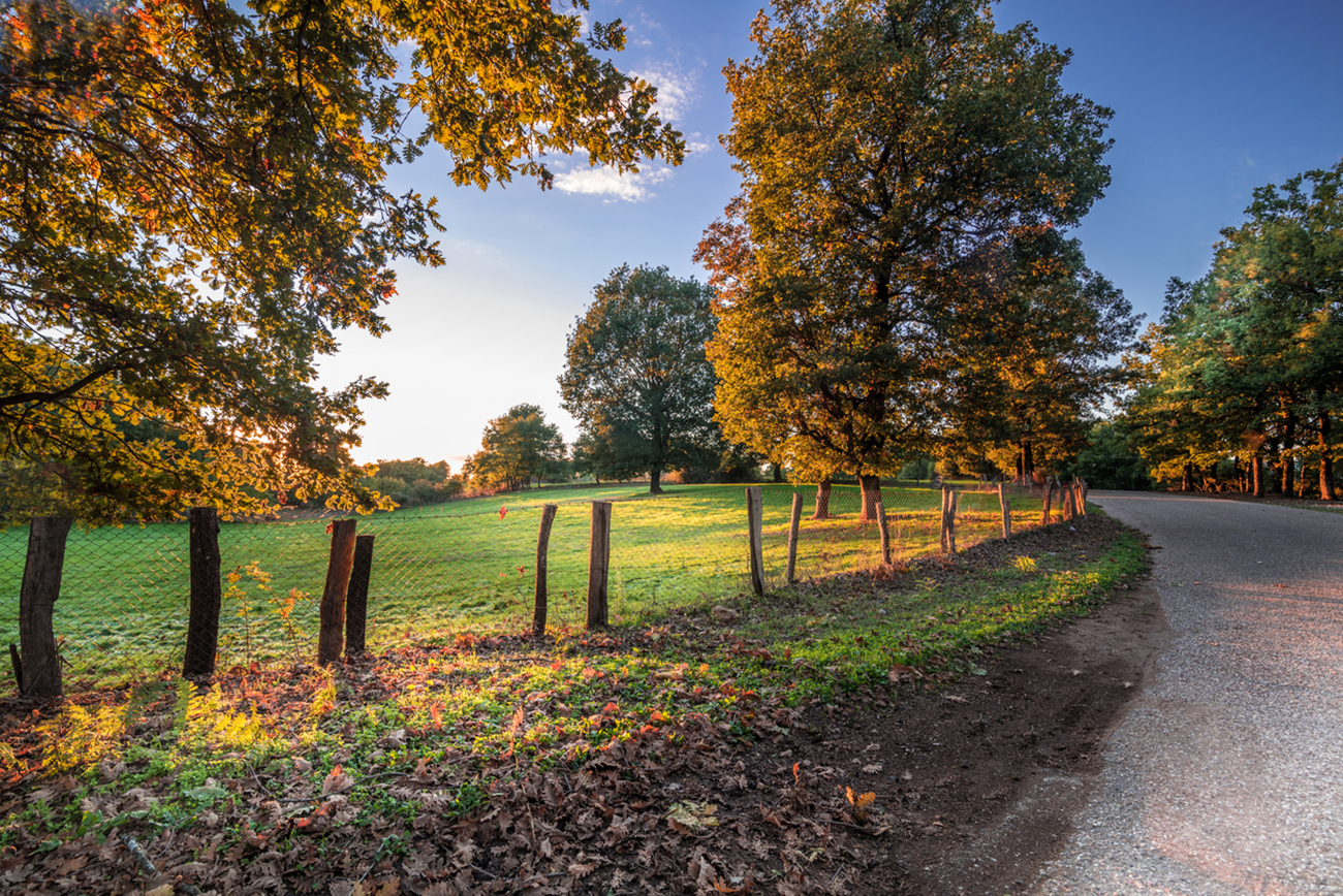 Oak trees paint the plateau with different colors each season. A unique ecosystem of amazing natural beauty.