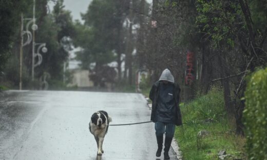 Βροχή