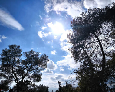 Στιγμιότυπο από πάρκο της Αθήνας.