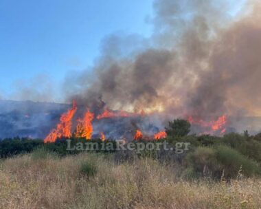 Η πυρκαγιά ξέσπασε στον οικισμό της Καρυάς Καμένων Βούρλων