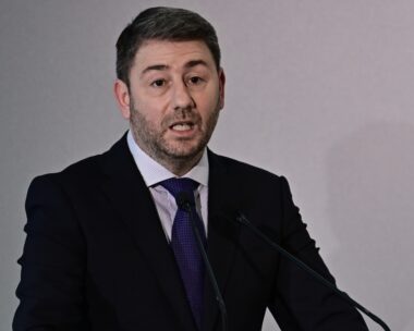 Ο πρόεδρος του ΠΑΣΟΚ, Νίκος Ανδρουλάκης