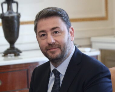 Ο Νίκος Ανδρουλάκης