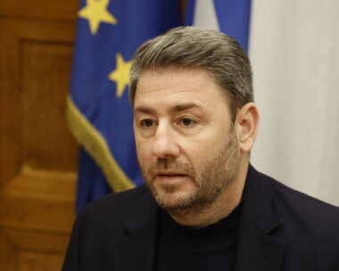 Ο Νίκος Ανδρουλάκης