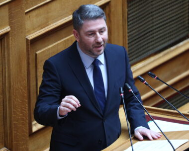 Ο Νίκος Ανδρουλάκης στη Βουλή
