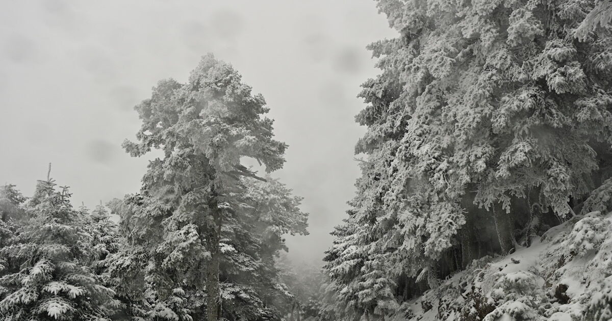 Traffic interruption at Parnithos Avenue Due to snow