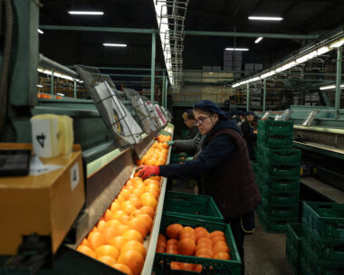 REUTERS