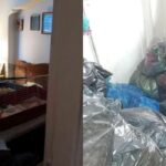 Αποκρουστικές εικόνες από το σπίτι της 66χρονης στα Εξάρχεια που με ζούσε με το πτώμα της μητέρας της και δεκάδες γάτες