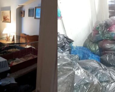 Αποκρουστικές εικόνες από το σπίτι της 66χρονης στα Εξάρχεια που με ζούσε με το πτώμα της μητέρας της και δεκάδες γάτες