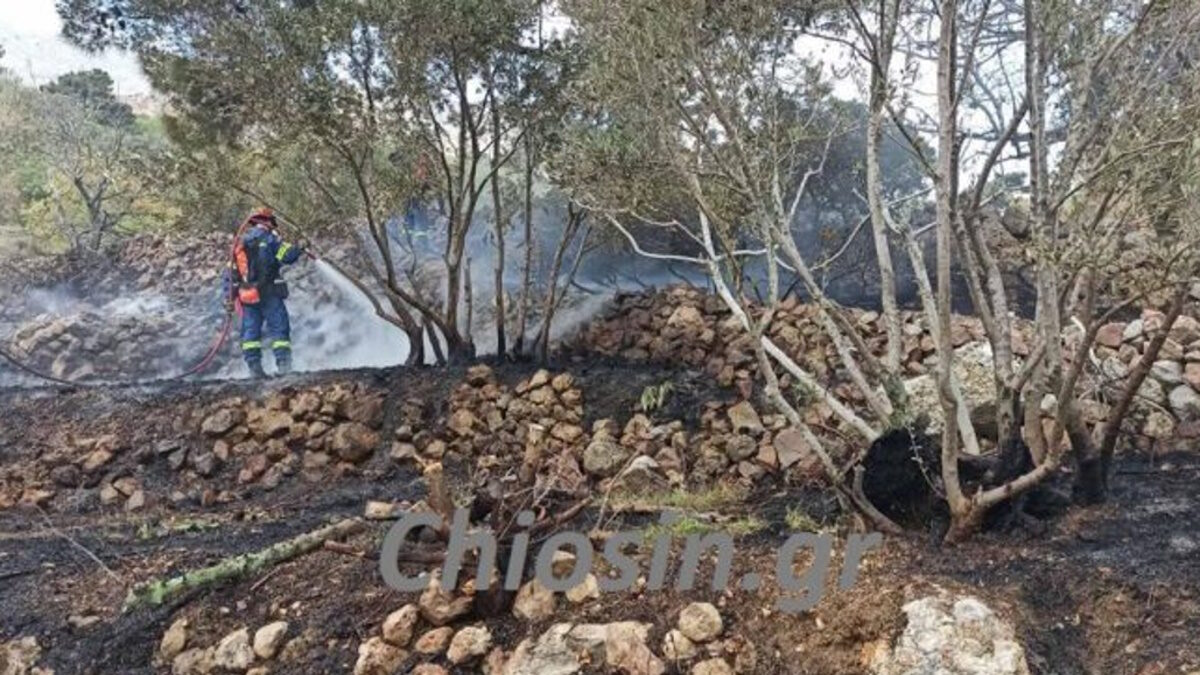 Η φωτιά στη Χίο