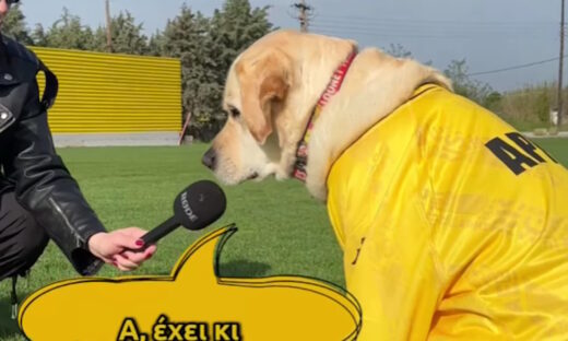 Άρης: Το απολαυστικό video με τη συνέντευξη στον σκύλο που έγινε viral στο «Βικελίδης»