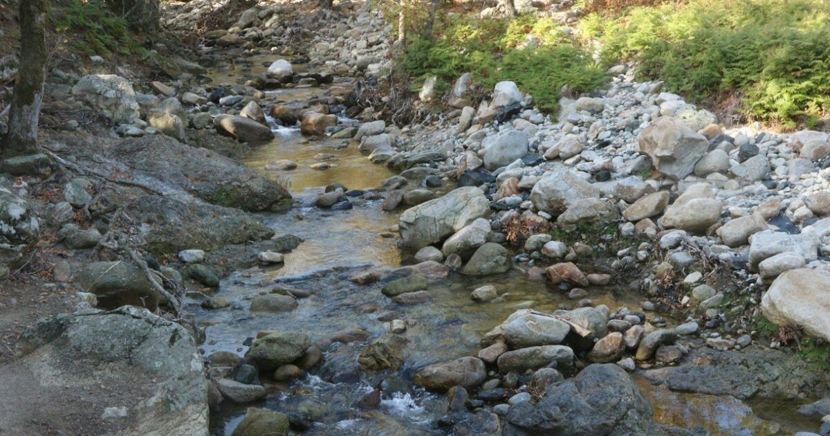Samaria Gorge: With wounds on the head of the tourist head that fell from high height