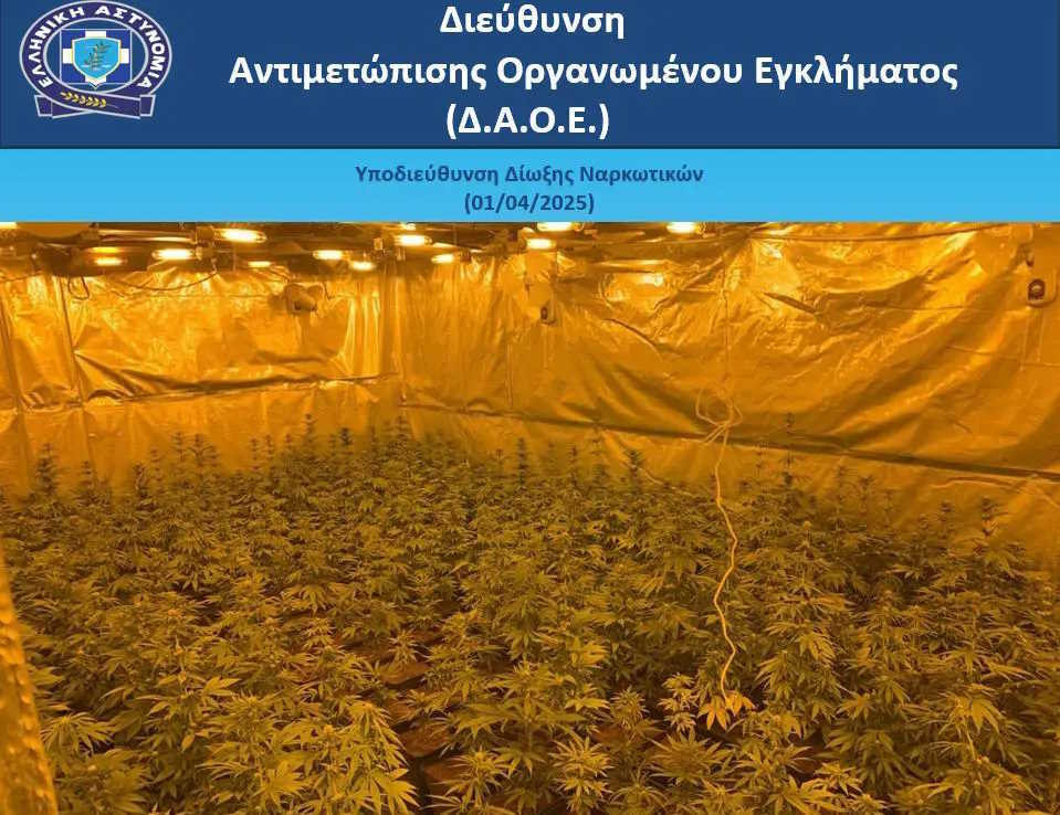Σπείρα που διακινούσε Skunk και κοκαΐνη / Φωτογραφία από την Ελληνική Αστυνομία