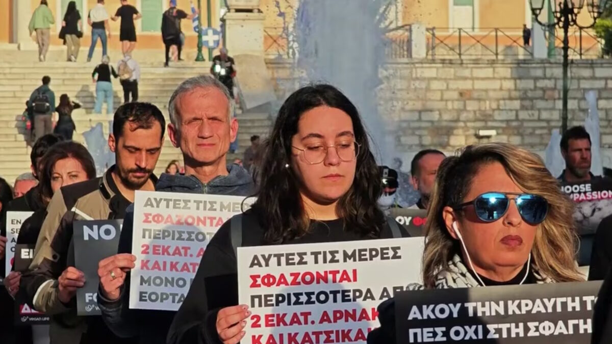 Διαμαρτυρία στο Σύνταγμα κατά της σφαγής αμνοεριφίων το Πάσχα