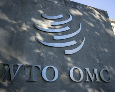 WTO logo