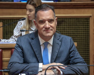 Ο Άδωνις Γεωργιάδης