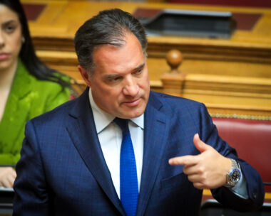 Ο Άδωνις Γεωργιάδης