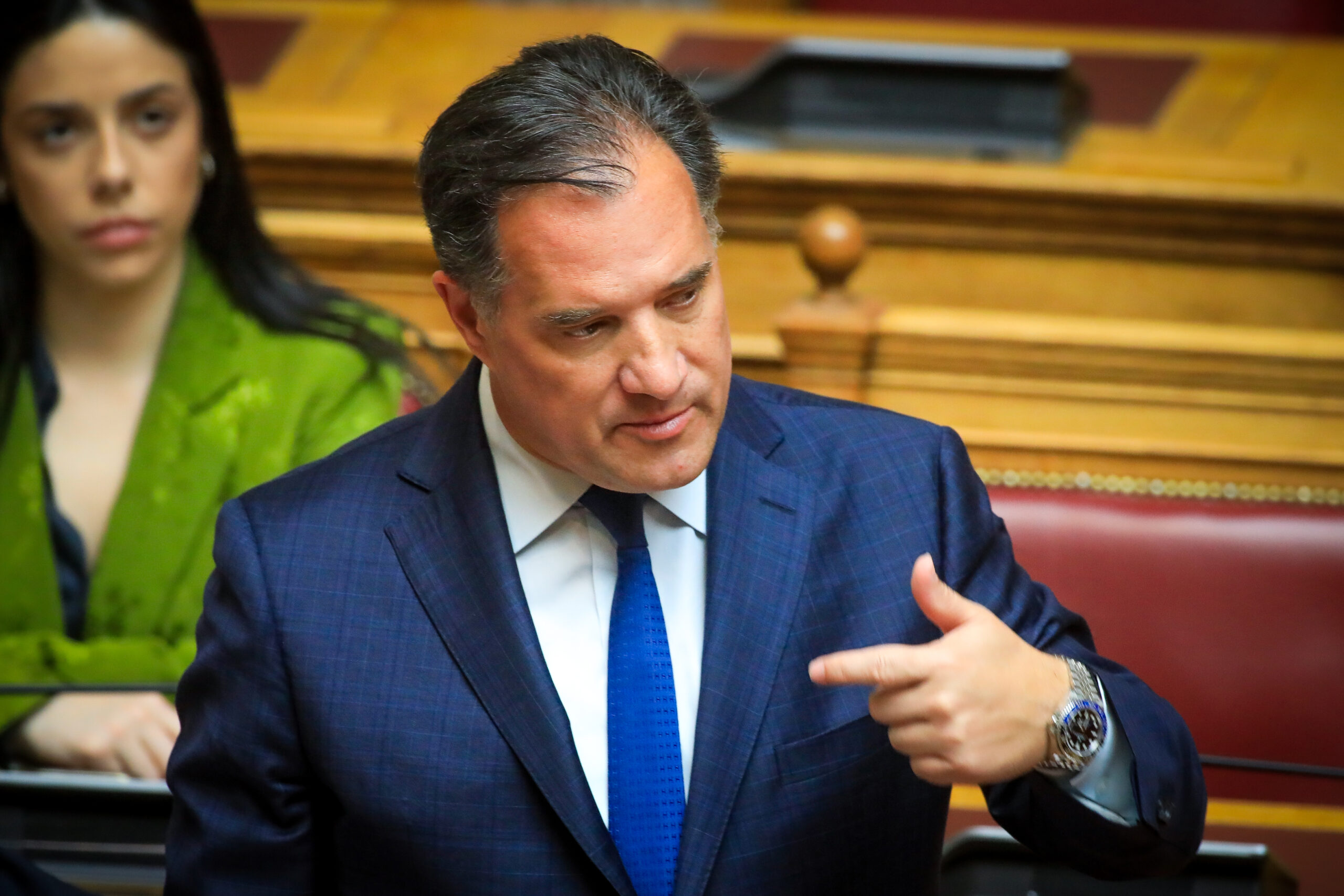 Ο Άδωνις Γεωργιάδης