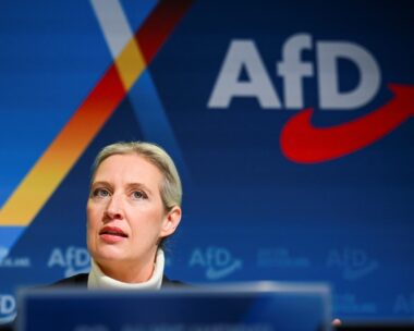 Η επικεφαλής του AfD, Alice Weidel