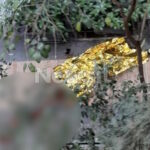 Η σορός του 55χρονου στην εκτέλεση στο Χαλάνδρι