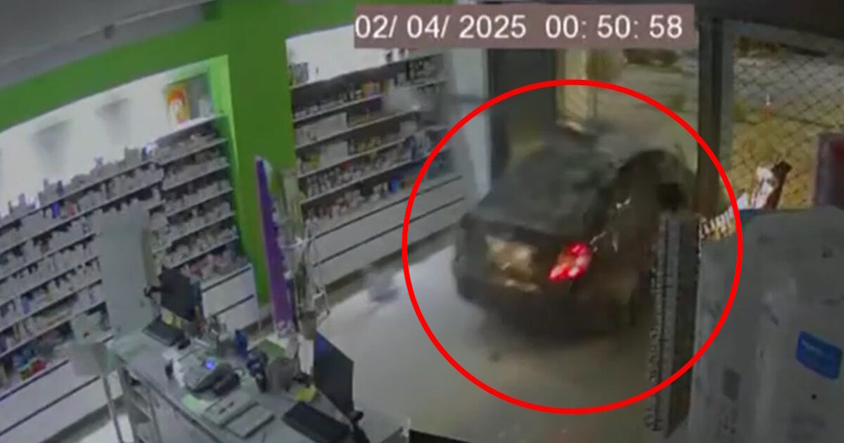 Mandra: cinematic burglary – they broke the glass and “bumped” in a pharmacy