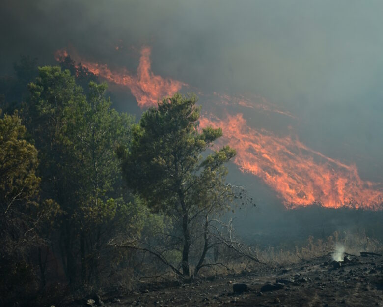 Συνελήφθη 73χρονος εμπρηστής στη Βοιωτία – Έβαλε φωτιά σε δυο διαφορετικά σημεία