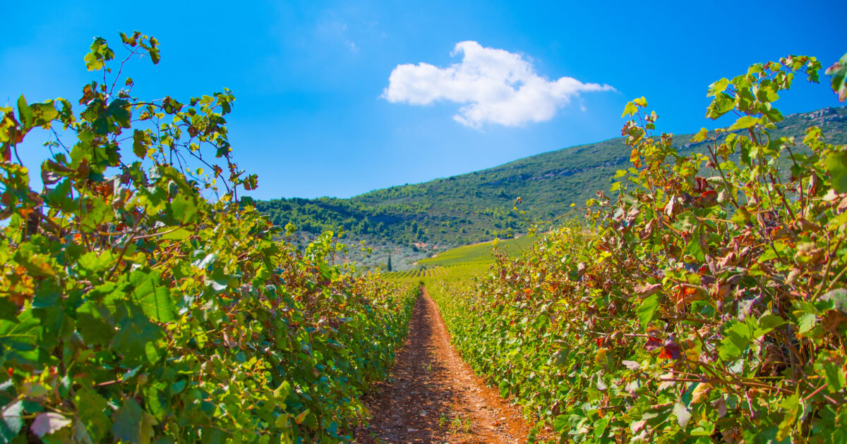 Peloponnese: What are the expensive and most economical “fillets” of land