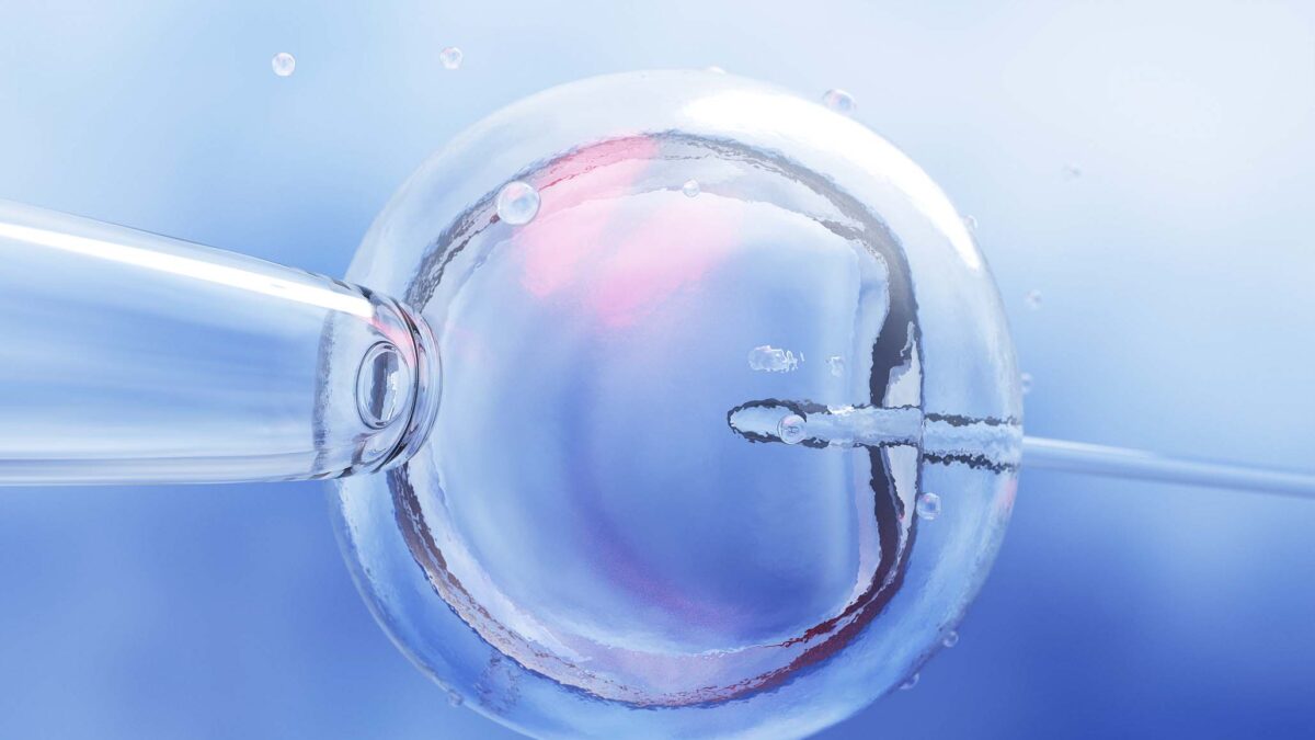 IVF (in vitro fertilization) or insemination of female egg with microscope