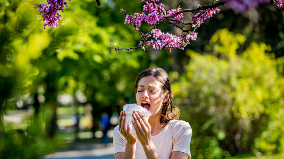 Woman has sneezing. Young woman is having flu and she is sneezing. Sickness, seasonal virus problem concept. Woman being sick having flu sneezing.