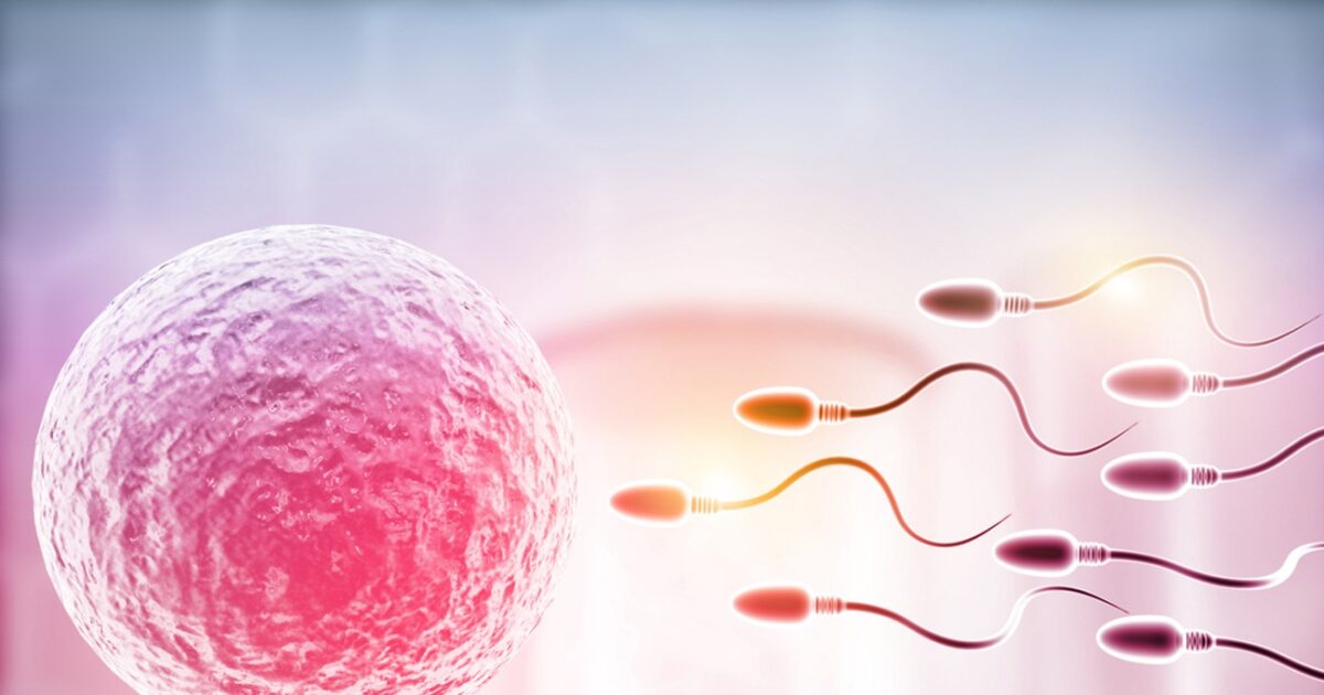 Netherlands: Sperm donors have acquired 75 children each – high risk of incest