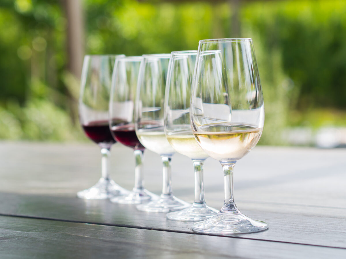 Wine tasting in Stellenbosch, South Africa. From the front: blanc de noir, chardonnay, sauvignon blanc, merlot, cabernet sauvignon.