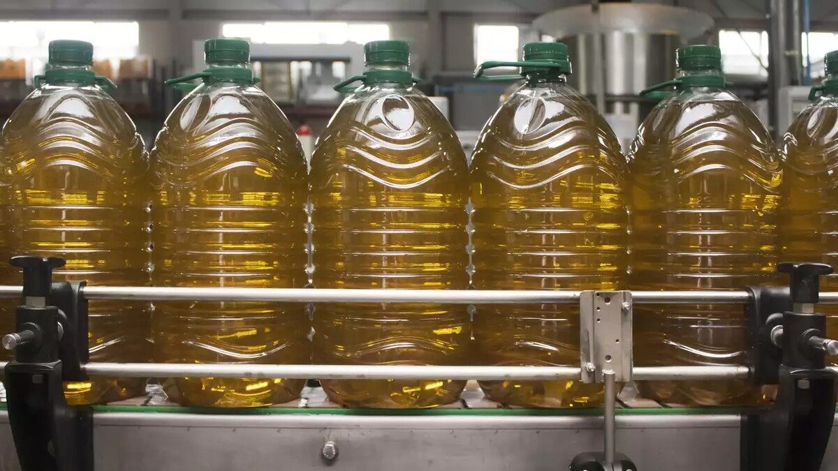 Bottling plant, row of large plastic bottles filled with olive oil.