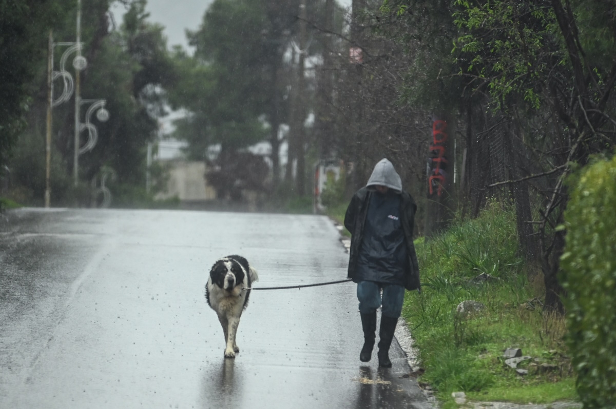 Ένας άνθρωπος περπατάει στη βροχή μαζί με έναν σκύλο
